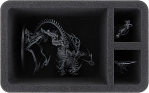 Feldherr Storage Box DS for Ossiarch Bonereapers