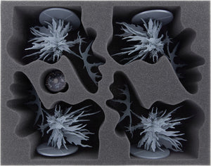 Feldherr foam tray set for Dark Souls: The Four Kings