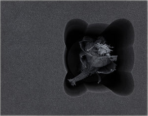 Feldherr Storage Box FSLB310 for Orruk Warclans