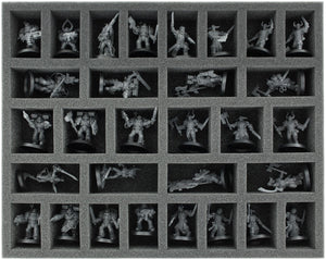 Feldherr MAXI bag for Start Collecting: Daemons of Nurgle