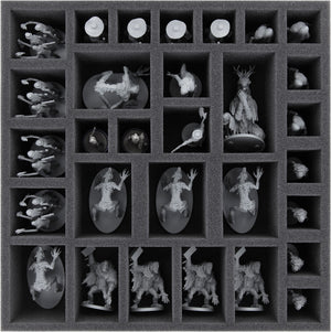 Feldherr foam set + Organizer Insert for Bloodborne: The Board Game - core game box