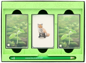 Inserto organizzatore Feldherr per Forest Shuffle - scatola di gioco centrale