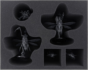 Feldherr Transporter per Maggotkin di Nurgle